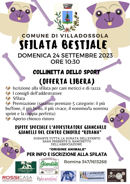 Villadossola - Sfilata bestiale 24.09.jpg