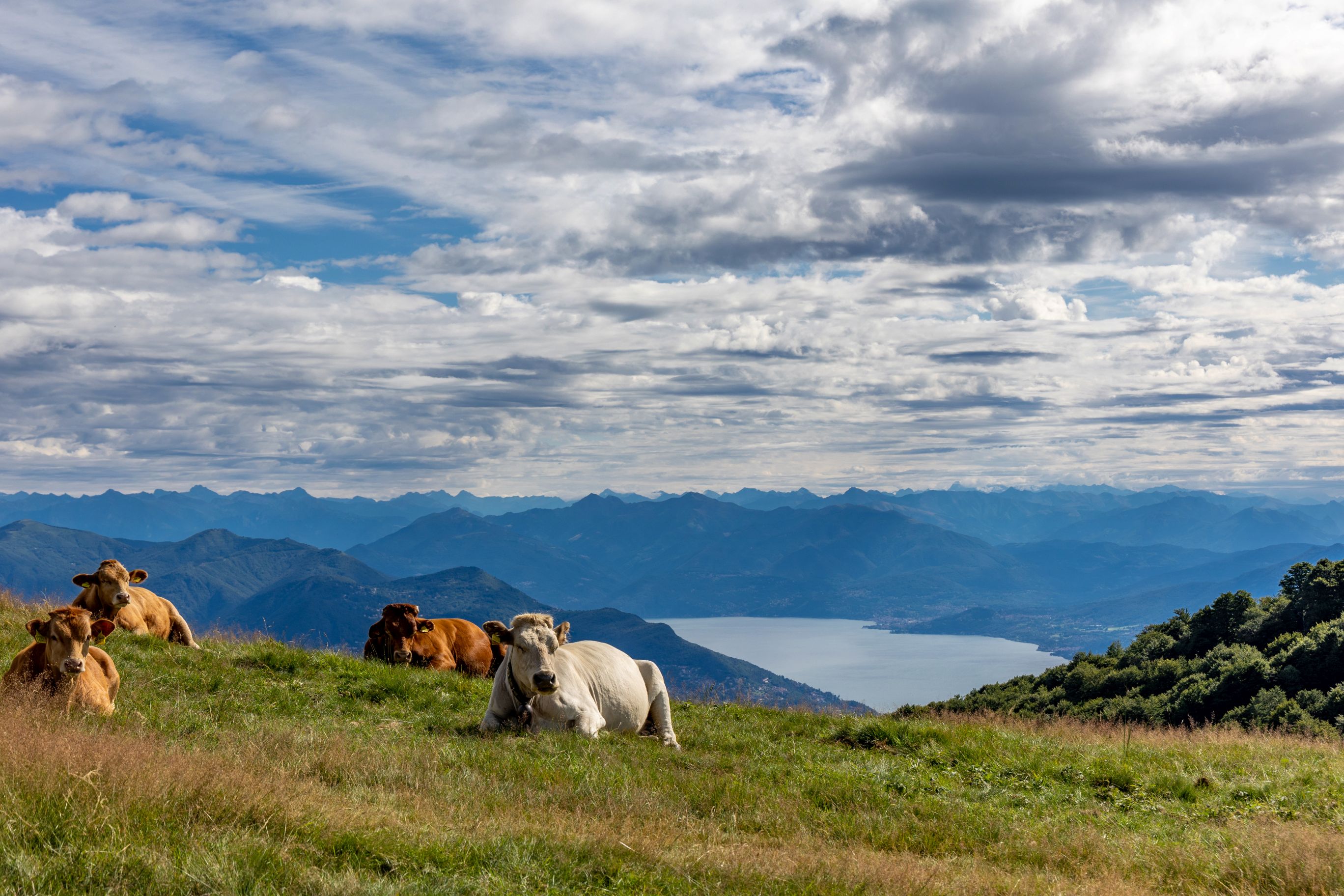 Webcam Test visual data 4