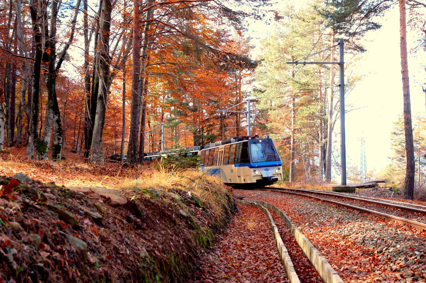 Archivio Fotografico Ferrovia Vigezzina-Centovalli