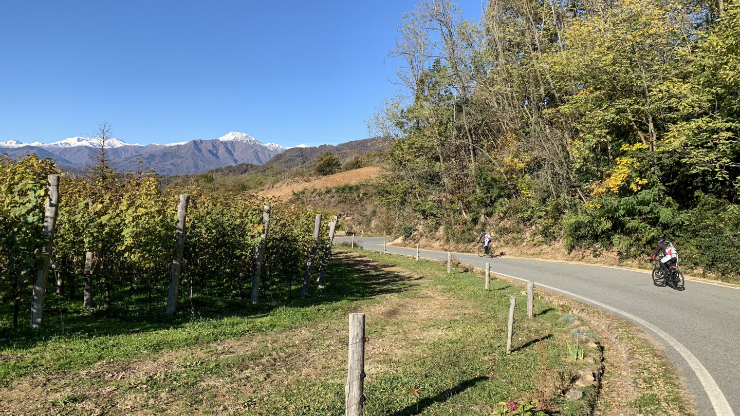 Colline di Grignasco - ph. Franco Gemelli