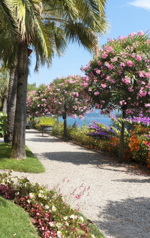 Giardini dell'Isola Madre - Lago Maggiore - Foto di Susy Mezzanotte