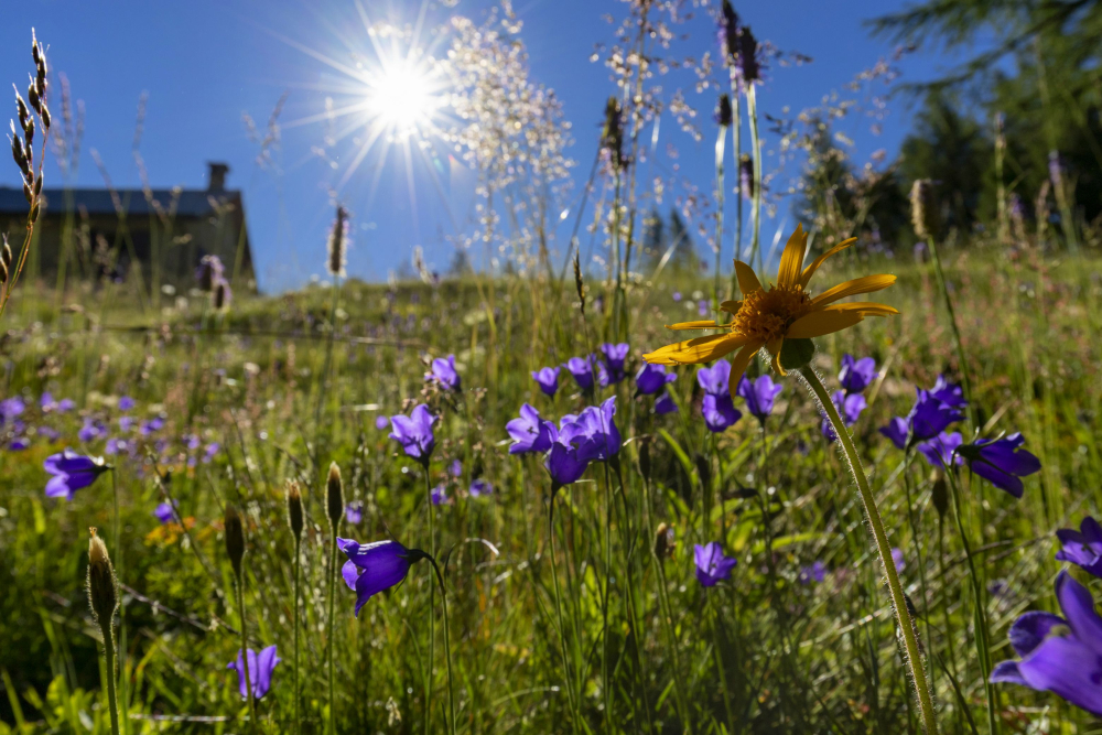 Alpe Devero - Archivio Fotografico Distretto Turistico dei Laghi - Foto di Marco Benedetto Cerini