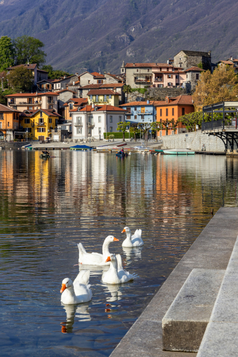 Lago Maggiore - Archivio Fotografico Distretto Turistico dei Laghi - Foto di Marco Benedetto Cerini