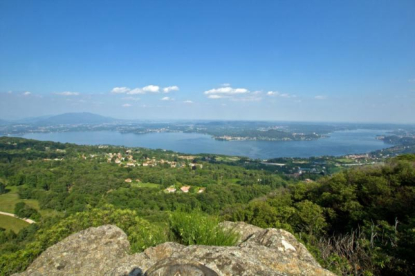 Vergante e i fiori tipici del Lago Maggiore
