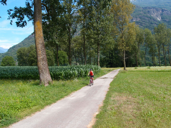 PERCORSO CICLABILE/MTB: Ciclovia del Toce/In bici tra i boschi
